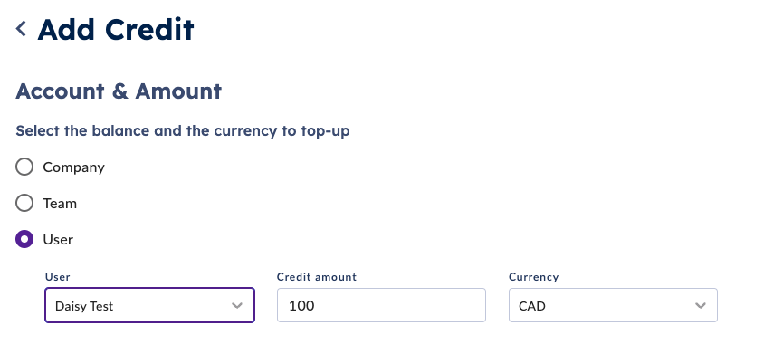 adding-credit-to-company-team-or-user-wallets-reachdesk-help-documentation